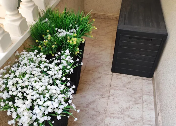 Sunset Apartment Torrevieja